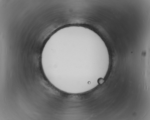 X0000112141217200909041031