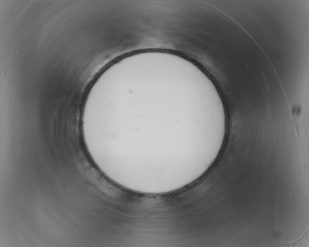 X0000112141220200909041031