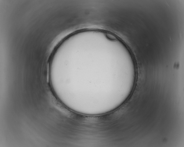 X0000112141223200909041031