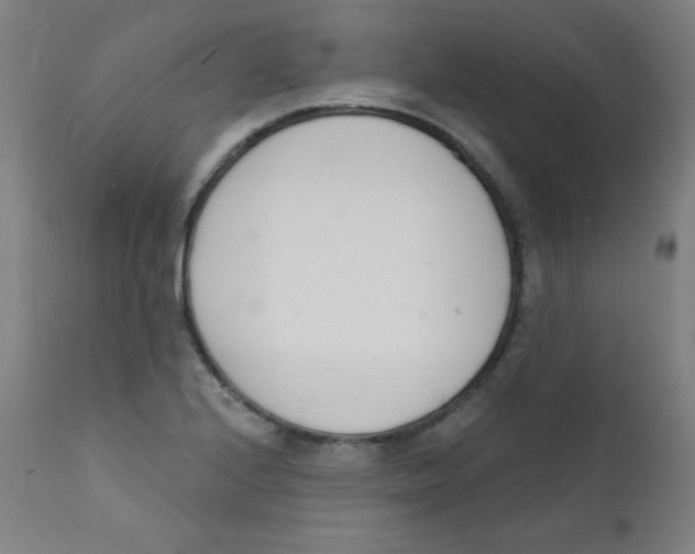 X0000112141224200909041031