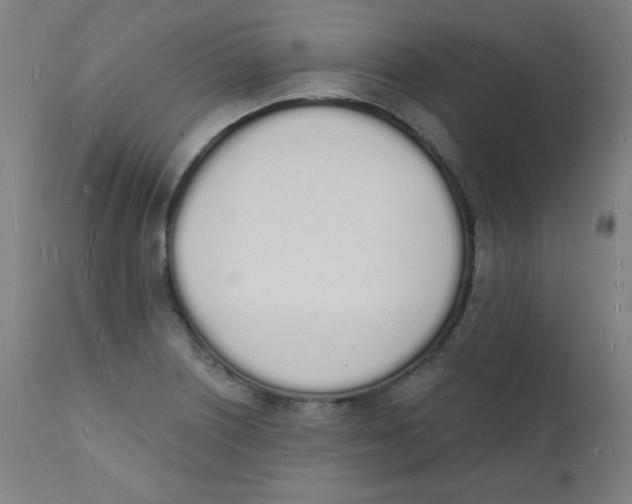 X0000112141226200909041031