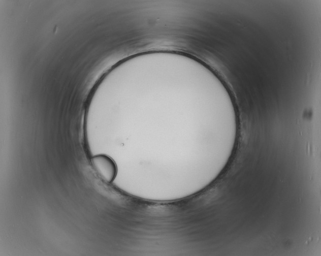 X0000112141227200909041031