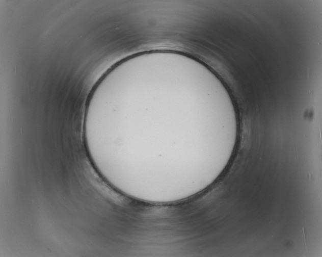 X0000112141228200909041031