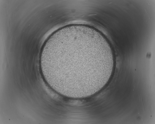 X0000112141229200909041031