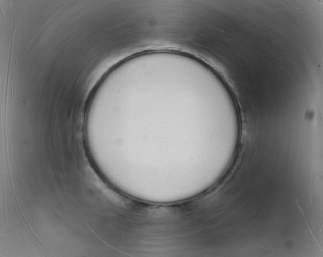 X0000112141231200909041031