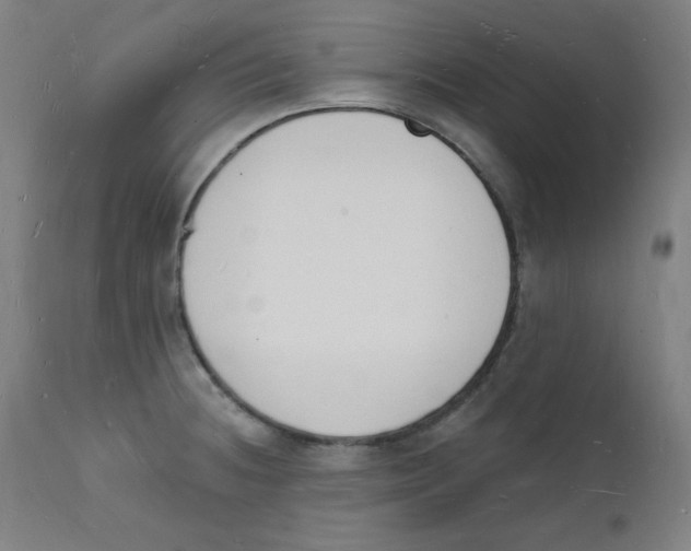 X0000112141236200909041031