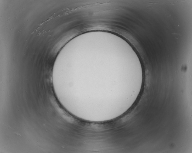 X0000112141241200909041031