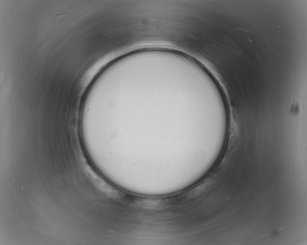 X0000112141245200909041032