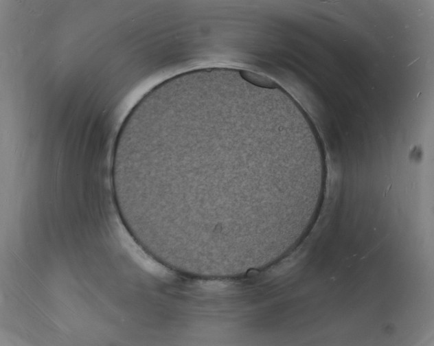 X0000112141246200909041032