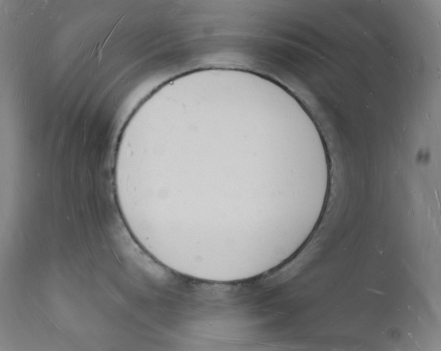 X0000112141248200909041032