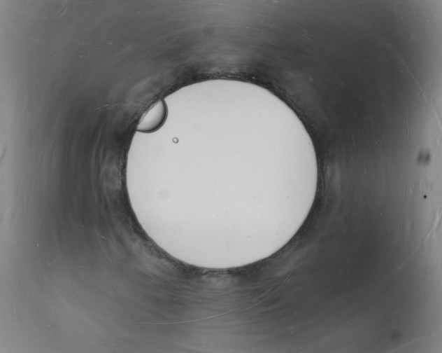 X0000112141250200909041031