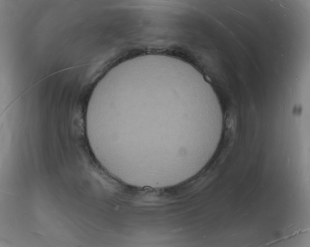 X0000112141252200909041031