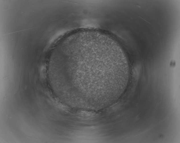 X0000112141254200909041031