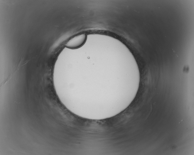 X0000112141255200909041031