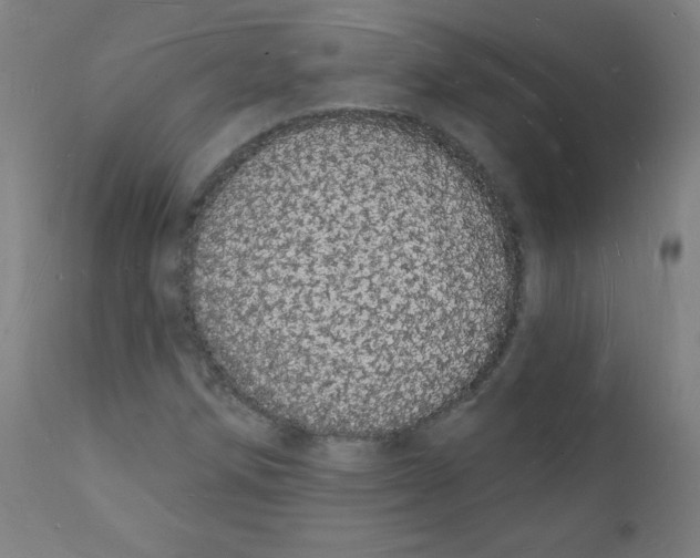 X0000112141258200909041031