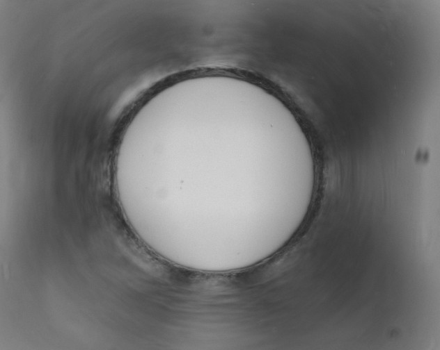 X0000112141262200909041031