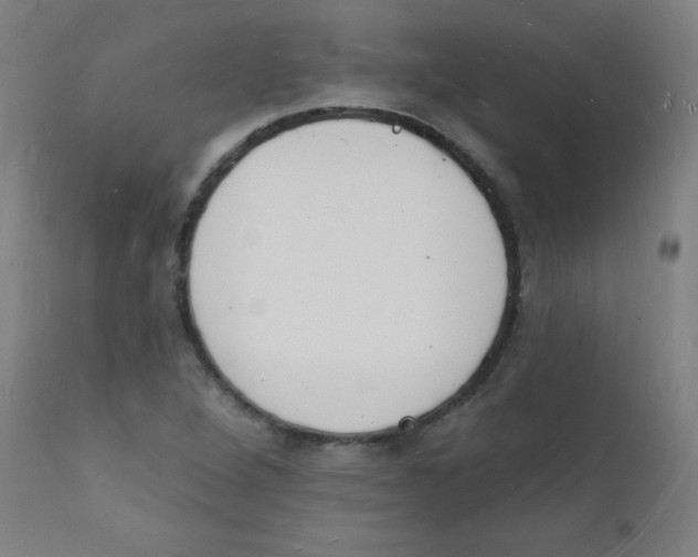 X0000112141264200909041031