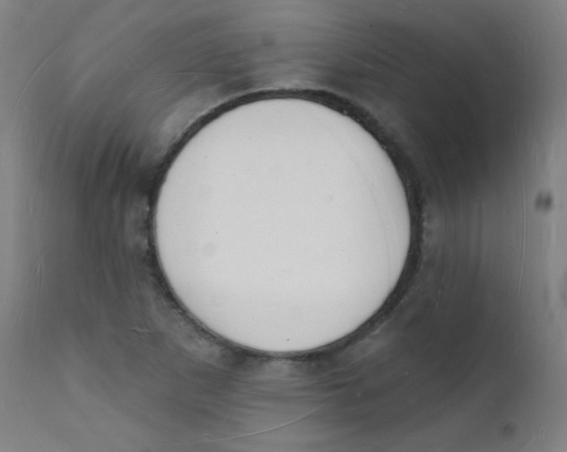 X0000112141265200909041031