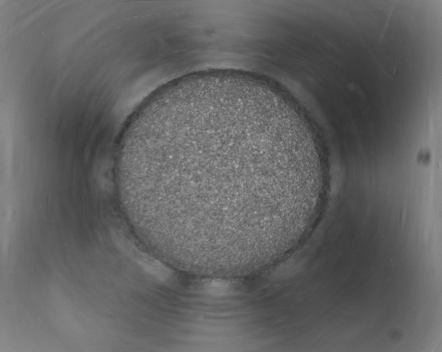 X0000112141266200909041030