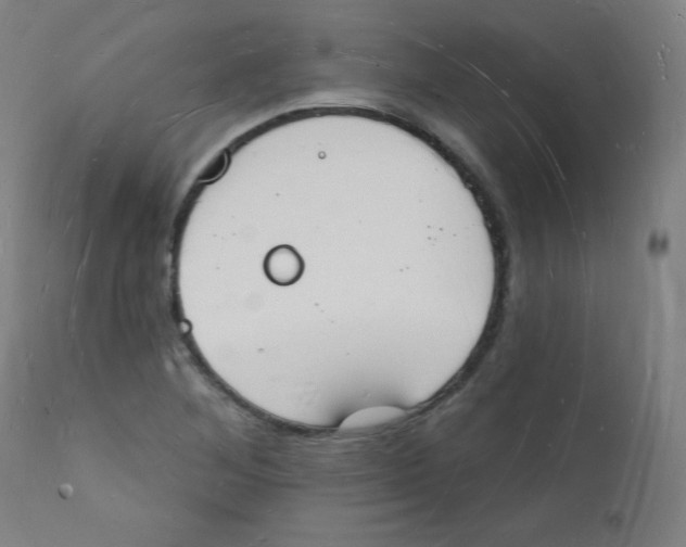 X0000112141268200909041030