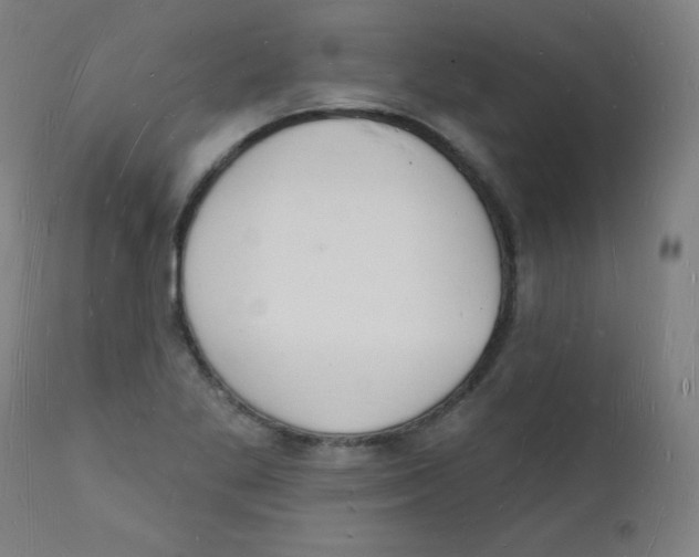 X0000112141269200909041030