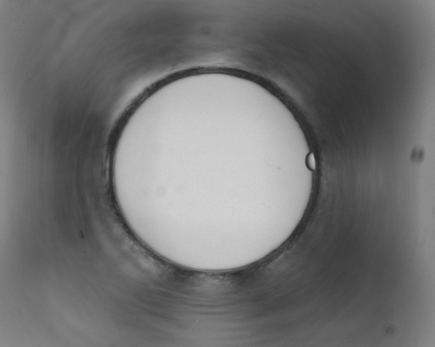 X0000112141270200909041030