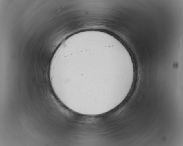 X0000112141273200909041030