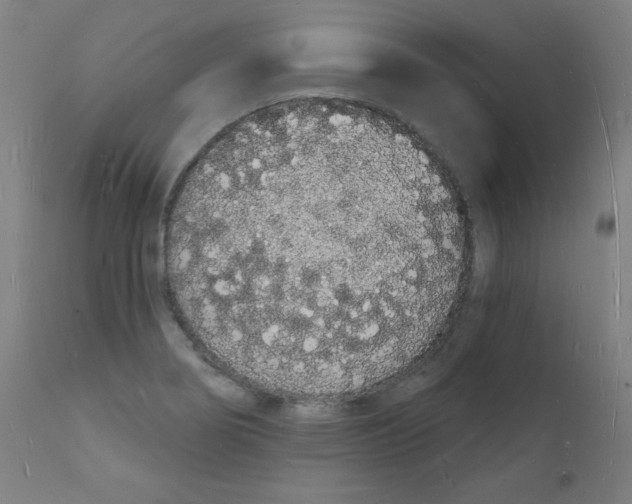 X0000112141274200909041030