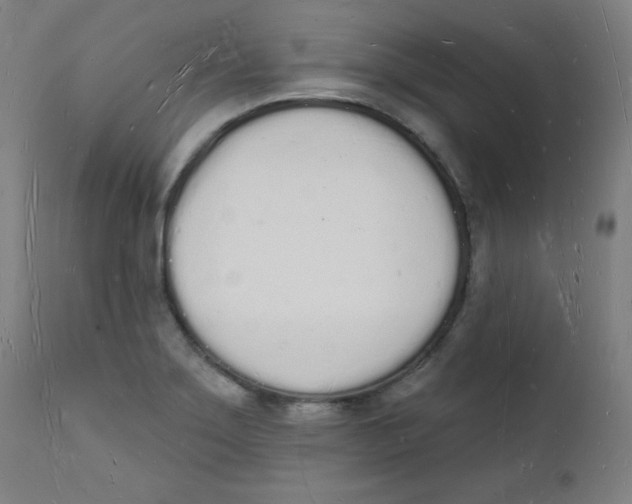 X0000112141275200909041030