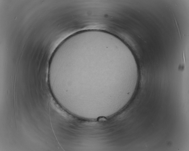 X0000112141276200909041030