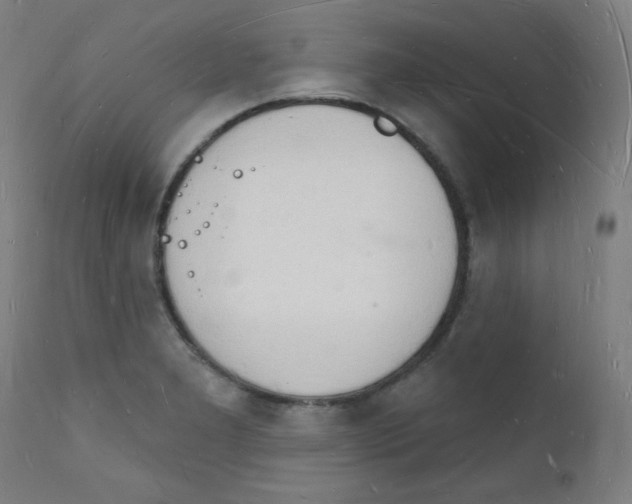 X0000112141277200909041030