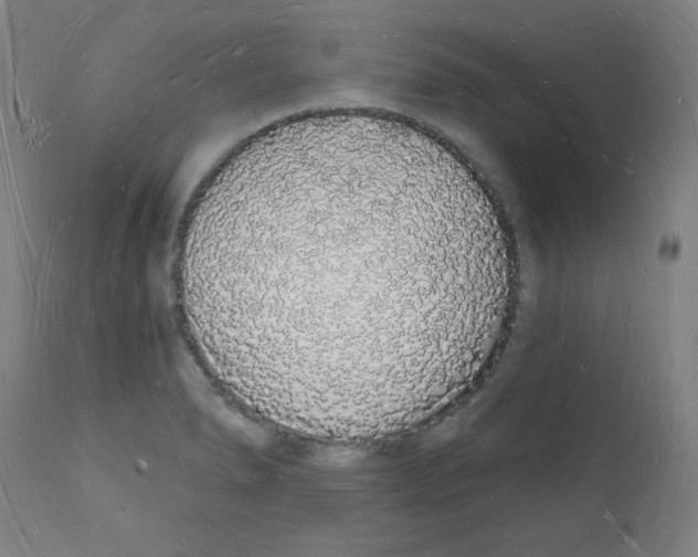 X0000112141278200909041030