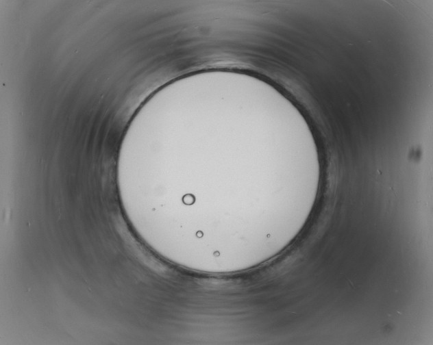 X0000112141281200909041030