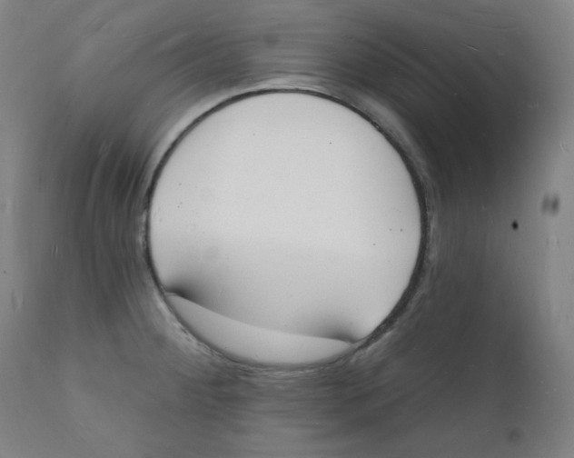 X0000112141284200909041030