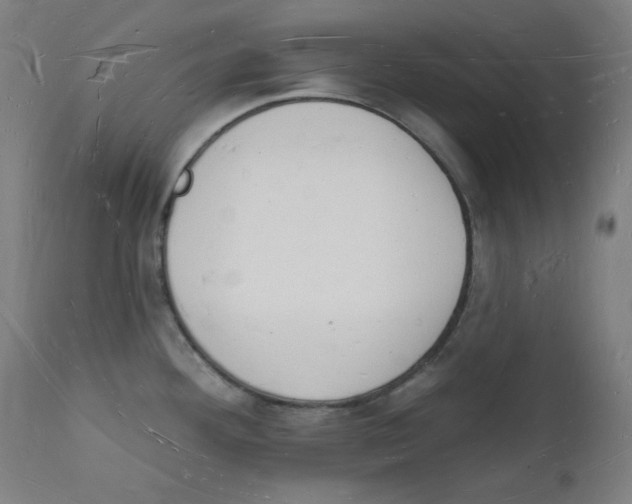 X0000112141292200909041030