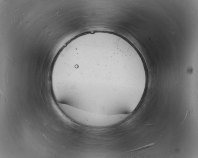 X0000112141293200909041030