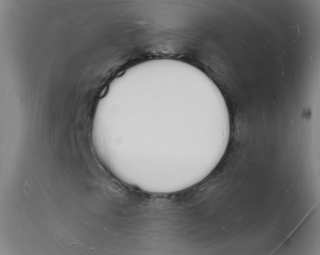 X0000112141297200909041029