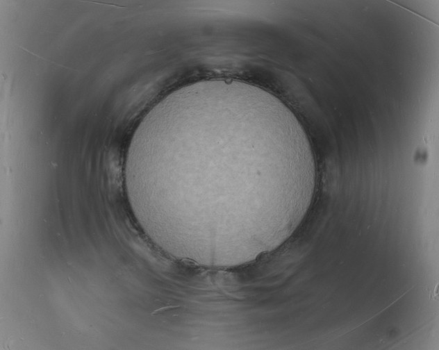 X0000112141298200909041029