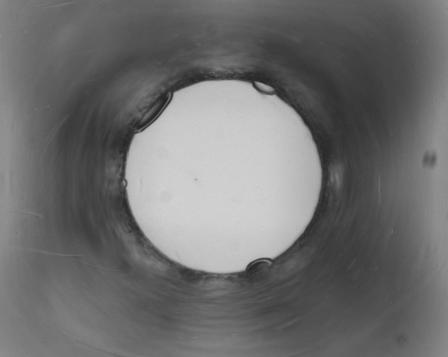 X0000112141300200909041029