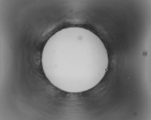 X0000112141301200909041029