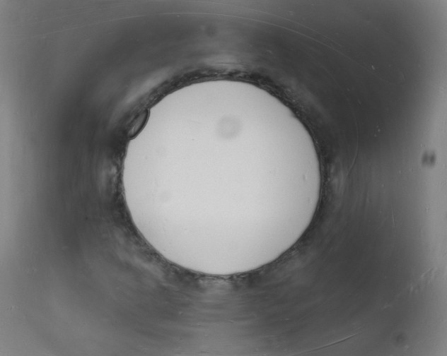 X0000112141302200909041029