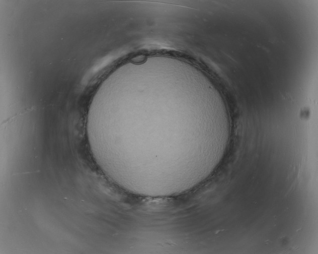 X0000112141303200909041030