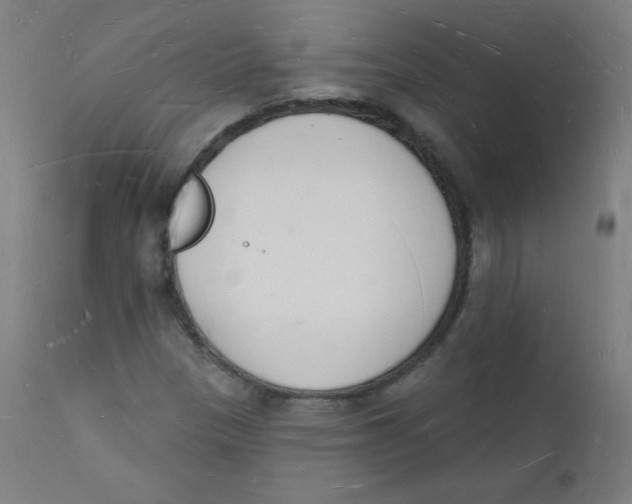 X0000112141305200909041030