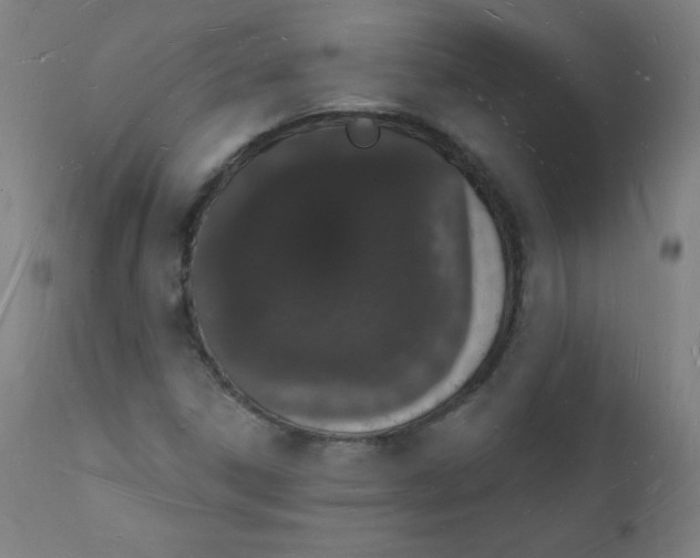 X0000112141306200909041030