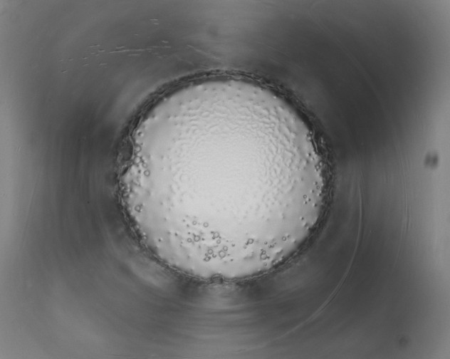 X0000112141310200909041030