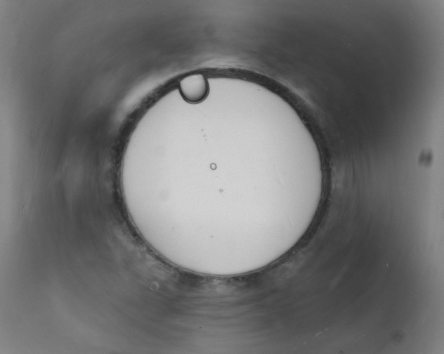 X0000112141311200909041030