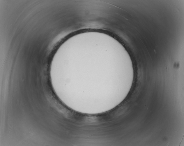 X0000112141315200909041030