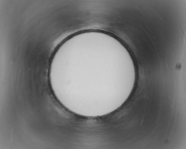 X0000112141316200909041030