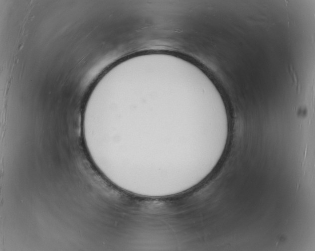 X0000112141317200909041030