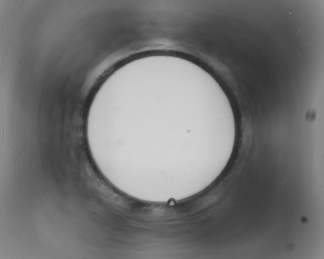 X0000112141318200909041030